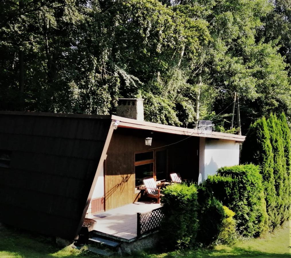 Villa Chalpa Na Skarpie Meszna Exterior foto