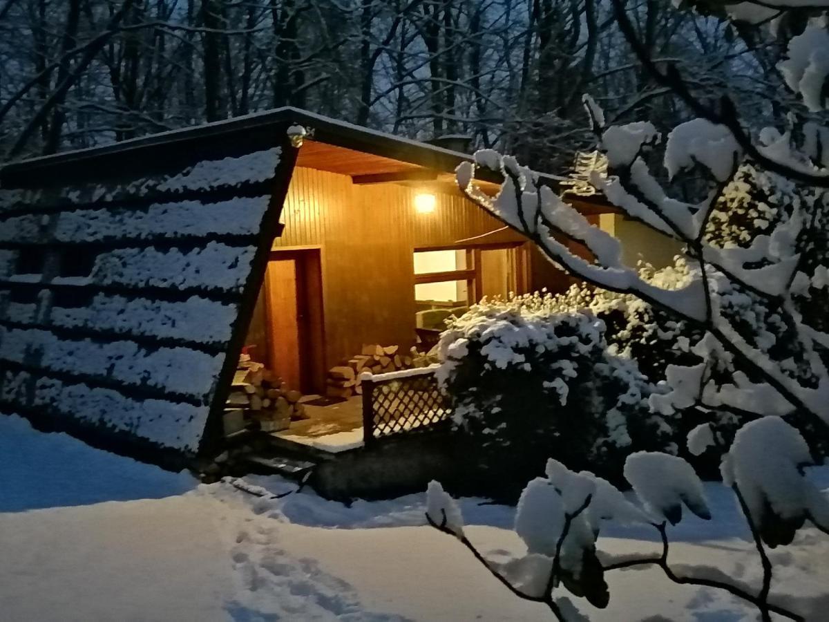 Villa Chalpa Na Skarpie Meszna Exterior foto